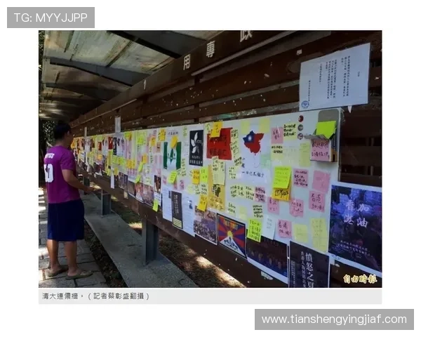 沙巴体育网站入口常见问题及解决方案全面解析